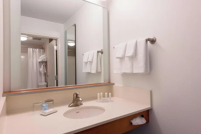 Studio, Multiple Beds, Accessible، SpringHill Suites Detroit Auburn Hills 4/4