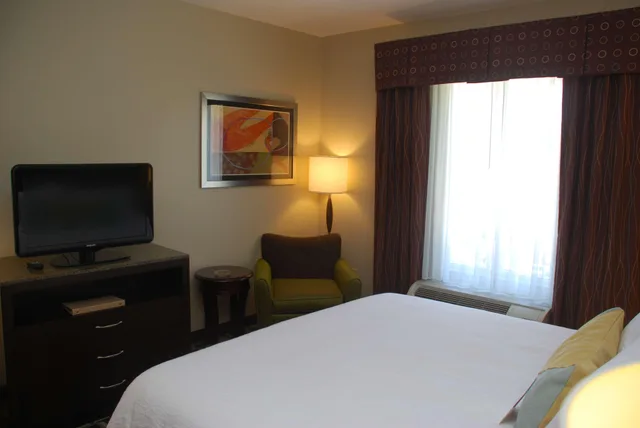 غرفة بسرير كينج مع أريكة لذوي الإعاقة، Hilton Garden Inn Birmingham Trussville 2/2