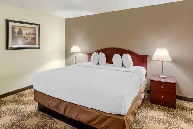 غرفة كبيرة بسرير كينج، Best Western Elko Inn 1/4