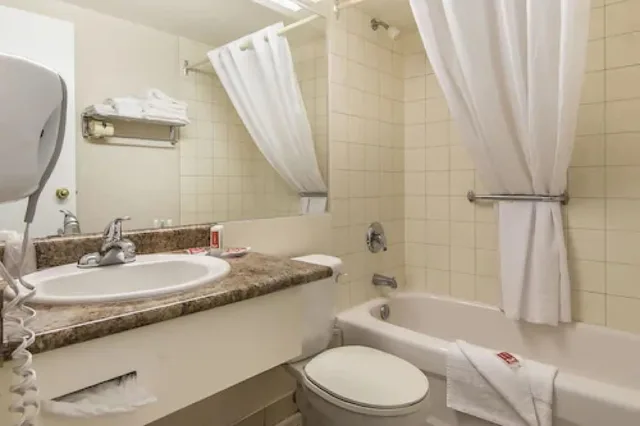غرفة قياسية بسرير كينج، Econo Lodge Orillia 5/5