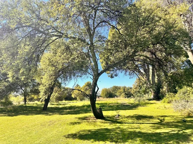 Haldon Estates، بلومفونتين 66/69