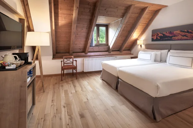 Standard, Double or Twin Bed, Hotel de Tredos Baqueira Affiliated by Melia 2/5