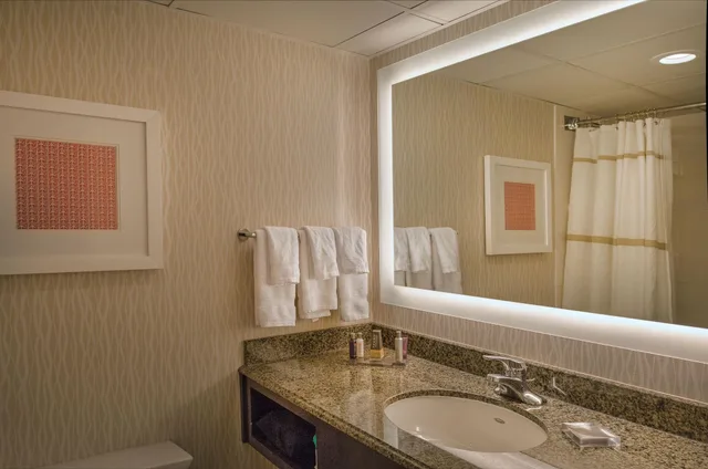 غرفة بسرير مزدوج لذوي الإعاقة، Marriott St. Louis Airport 4/5