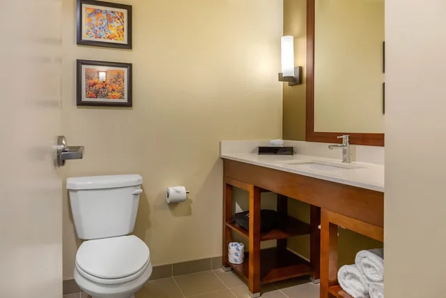 غرفة قياسية بسرير كينج، Comfort Inn & Suites Gap Amish Country 8/9