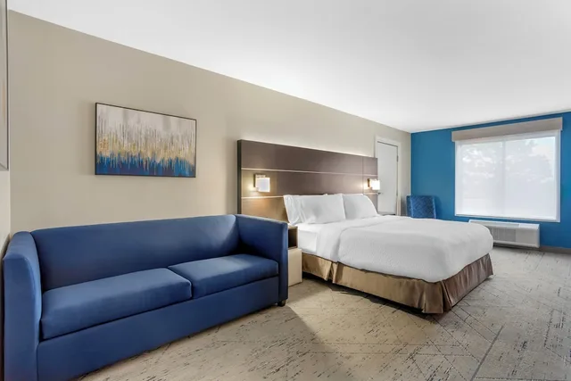 Suite, King Bed, Accessible, Holiday Inn Express Hotel & Suites Newton Sparta 1/7