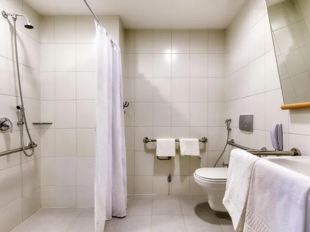غرفة قياسية بسرير مزدوج لذوي الإعاقة، ibis budget Bh Savassi 4/4