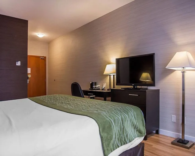 Room, King Bed, Comfort Inn Brockville, ON 2/4