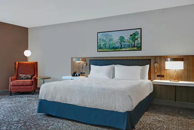غرفة بسرير كينج بحوض استحمام لذوي الإعاقة، Hilton Garden Inn Madison Huntsville Airport AL 1/4
