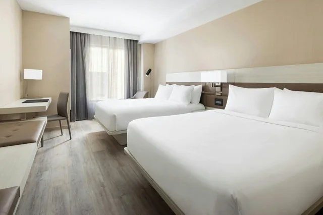 Studio, Multiple Beds, AC Hotel St. Petersburg 1/3