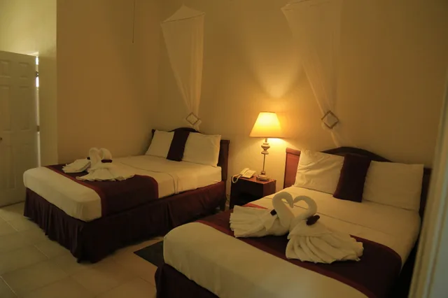 غرفة سوبيريور بسرير كينج لذوي الإعاقة، Executive Airport Hotel 1/3