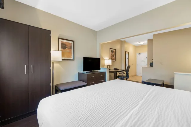 جناح بسرير كينج مع أريكة، Best Western Hilliard Inn & Suites 1/3