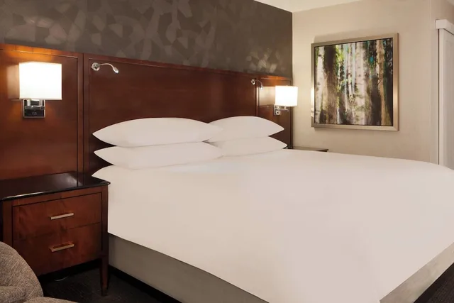 غرفة بسرير كينج لذوي الإعاقة، Omaha Marriott 2/3