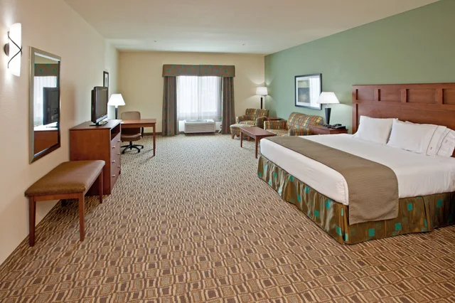 Standard, King Bed, Holiday Inn Express Hotel & Suites Ripley 2/6