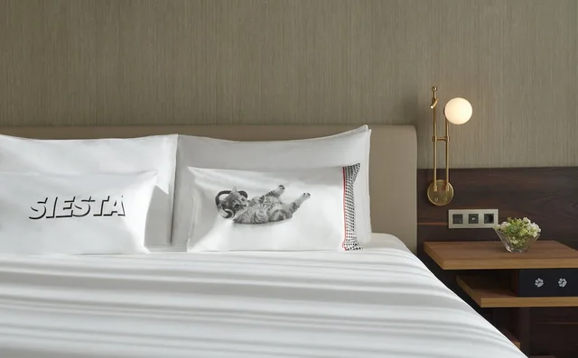 جناح بشرفة، Hyatt Centric Gran Via Madrid 6/8