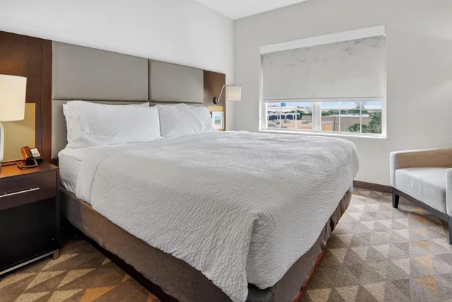 جناح بإطلالة على المدينة بغرفة نوم واحدة، Holiday Inn Express Hotel And Suites Dallas Addison 1/5