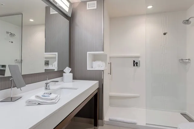 Room, King Bed, Sofa, Accessible, Courtyard by Marriott Asheville Biltmore Village 5/5