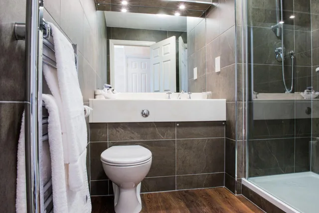 غرفة قياسية بسرير مزدوج، The Coed y Mwstwr Hotel 5/5