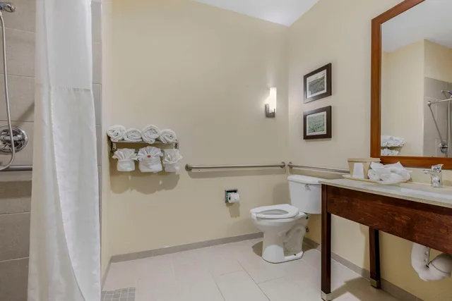 جناح لذوي الإعاقة، Comfort Suites Benbrook - Fort Worth Southwest 2/4