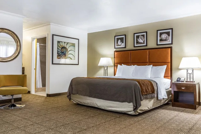 Room, King Bed, Hot Tub, Comfort Inn Santa Cruz North 8/10