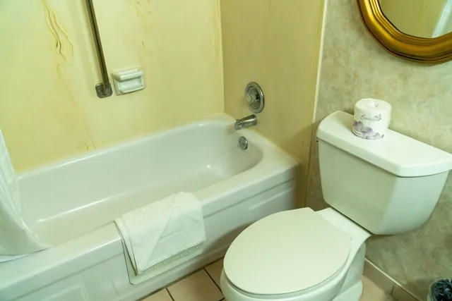 غرفة قياسية بسرير كينج، Hotel Piccadilly 3/3
