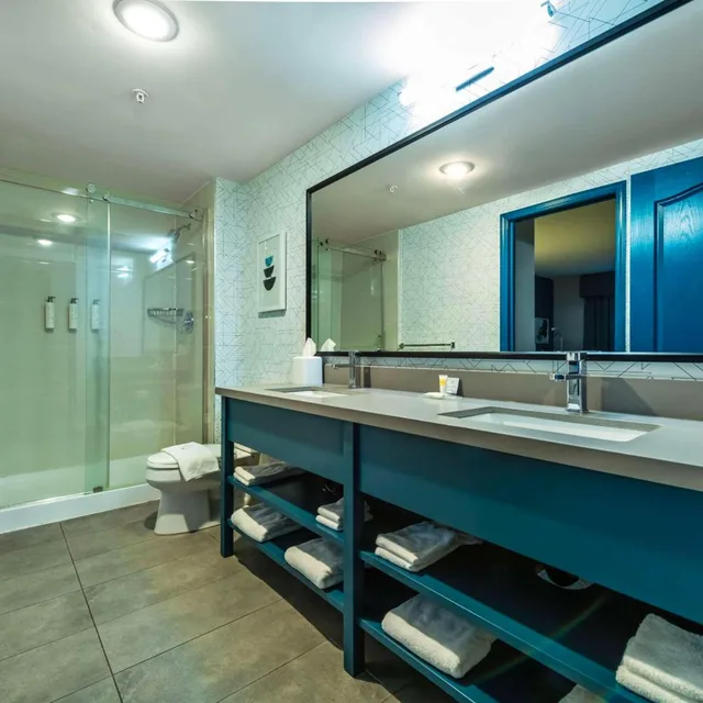 Junior Suite, King Bed, Clarion Hotel & Conference Centre Abbotsford - Fraser Valley 10/10