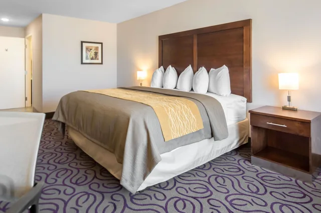 غرفة قياسية بسرير كينج، Comfort Inn & Suites Lovington, NM 4/6