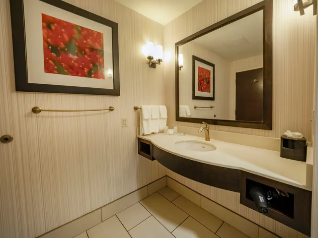 جناح جونيور بسرير كينج، HILTON GARDEN INN BUFFALO DOWNTOWN 3/3
