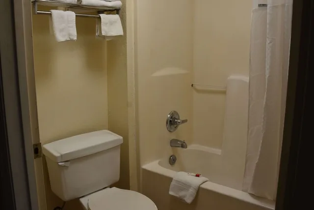 غرفة قياسية بسرير كينج للمدخنين، Travelodge by Wyndham Montgomery East 8/8