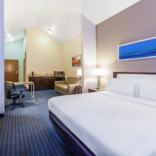 جناح بإطلالة، Holiday Inn Express Hotel And Suites Pharr 2/7