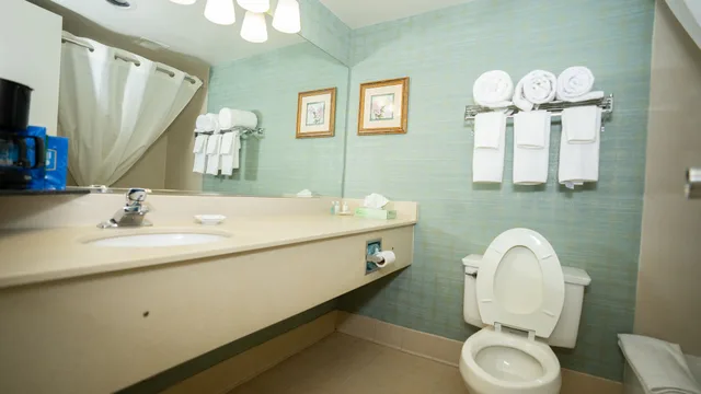 غرفة قياسية بسرير كينج، Clarion Hotel & Suites - Convention Center Fredericksburg 5/7
