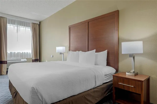 جناح بسرير كينج لذوي الإعاقة، Comfort Suites Waco North - Near University Area 1/2