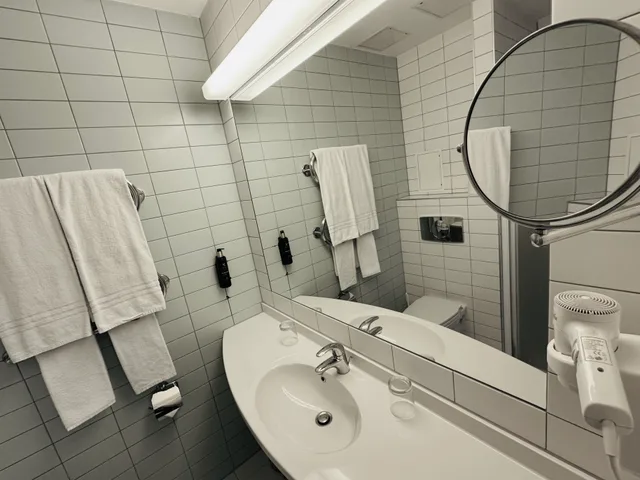 غرفة قياسية بسريرين منفصلين، Green Park Hotel Klaipeda 4/4