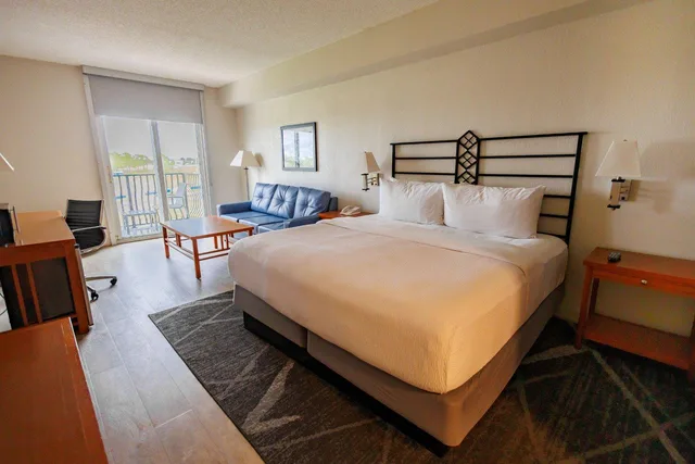 Classic, King Bed, Hairpin View, Balcony، Chateau Elan Hotel and Conference Center 1/1