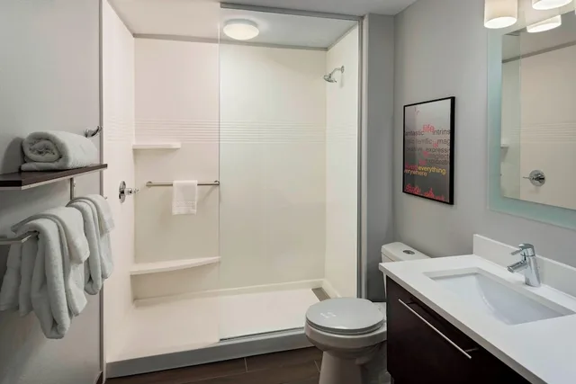 استوديو بسرير كينج مع أريكة، Towneplace Suites Baton Rouge Port Allen 3/3