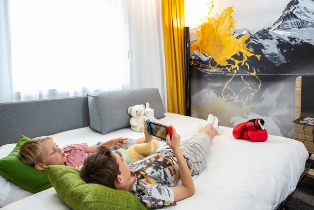 Superior, Queen Bed, 2 Sofa, Novotel Annecy Centre 2/4