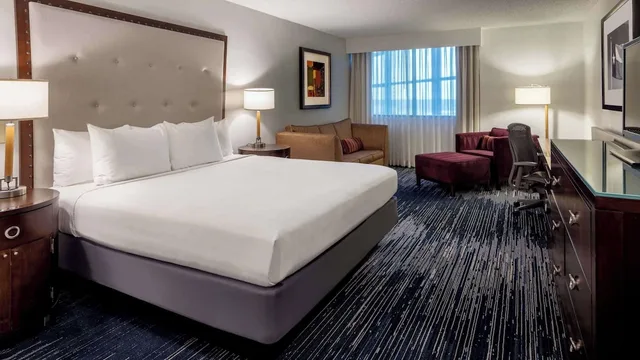 غرفة ديلوكس بسرير كينج مع أريكة، Sonesta Hotel Houston IAH Airport 1/1