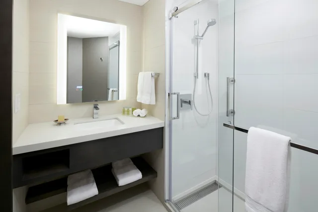 Suite, King Bed, Fireworks View، DoubleTree by Hilton Montreal 2/2