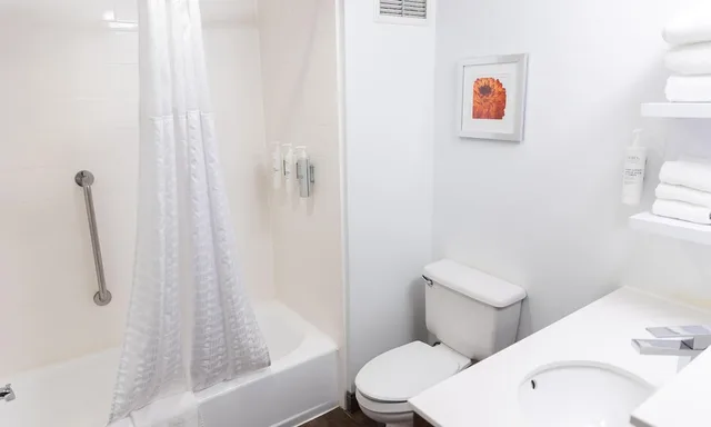 Study, King Bed, Sofa، Hampton Inn Williamsport-Downtown 8/8