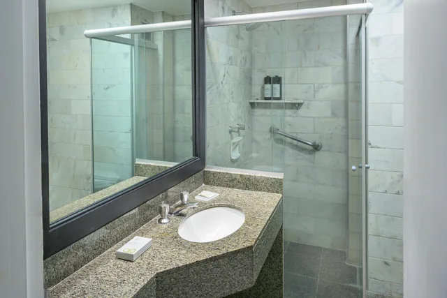 غرفة ديلوكس بسرير مزدوج، Bourbon Curitiba Hotel & Suites 3/3