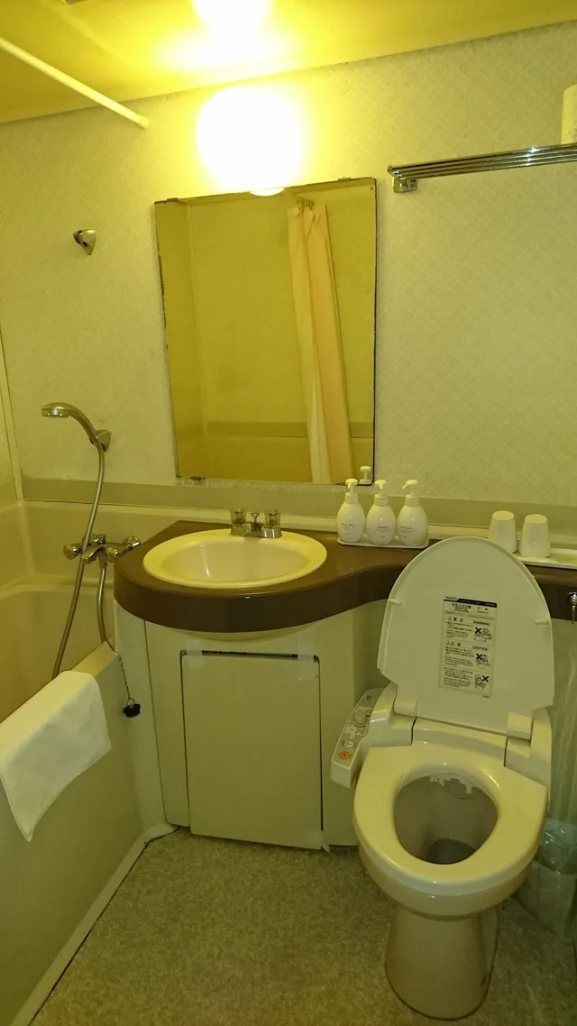 غرفة مفردة للمدخنين، Select Inn Fujisan Gotemba 16/17