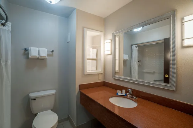 Standard, King Bed, Extra Floor Space، Holiday Inn Express Suites Hinesville East Fort Stewart 2/2