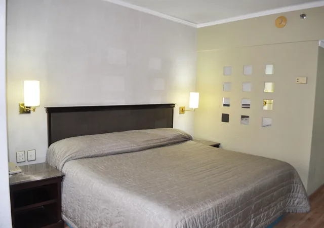 غرفة تقليدية بسرير كينج، Hotel Arroyo de la Plata Zacatecas 5/8