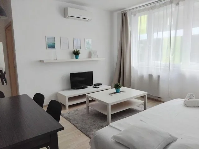 غرفة بسرير مزدوج بغرفة نوم واحدة، CORVIN CENTER SUITES 1/1