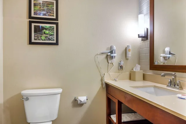 جناح بسرير كينج لذوي الإعاقة، Comfort Inn & Suites At Crossplex Village 4/5