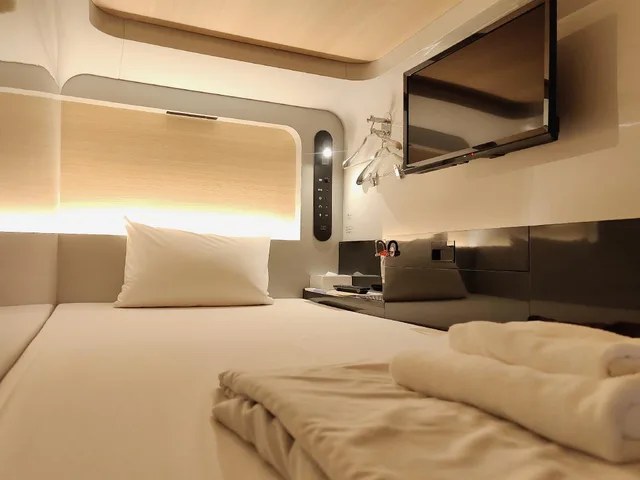 Male Dorm, Economy, Cabin، FIRSTCABIN Kyoto Nijojo 1/1