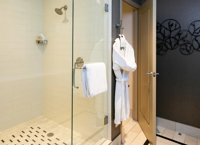 جناح بإطلالة على المدينة بغرفة نوم واحدة، The Tennessean Personal Luxury Hotel 2/3