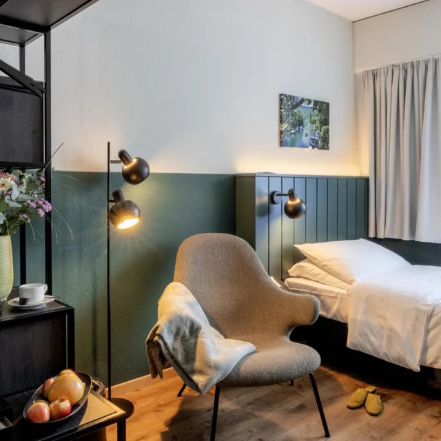 غرفة اقتصادية مفردة، City Hotel Biel Bienne 6/9