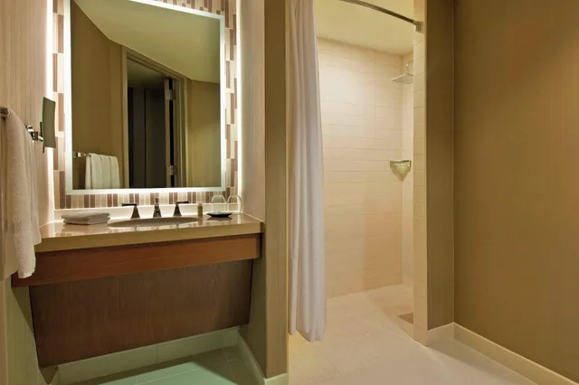 غرفة بسرير كوين لذوي الإعاقة، The Westin Peachtree Plaza Atlanta 3/3