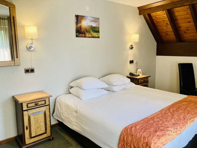 غرفة كومفورت بسرير مزدوج، Fletcher Hotel Restaurant de Witte Brug 3/7