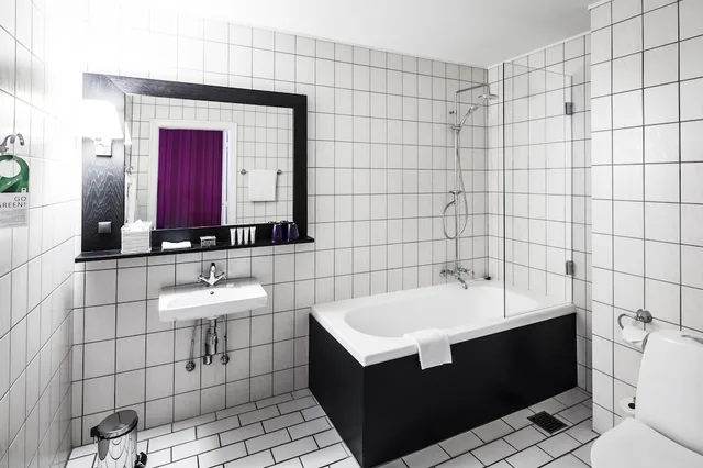 غرفة تنفيذية بسرير كينج، First Hotel Grand Odense 3/3
